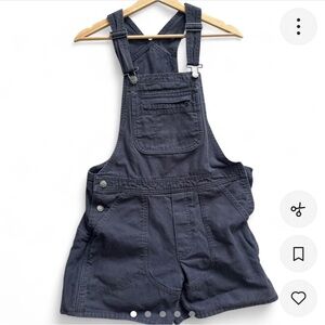 Women’s blue Patagonia overalls